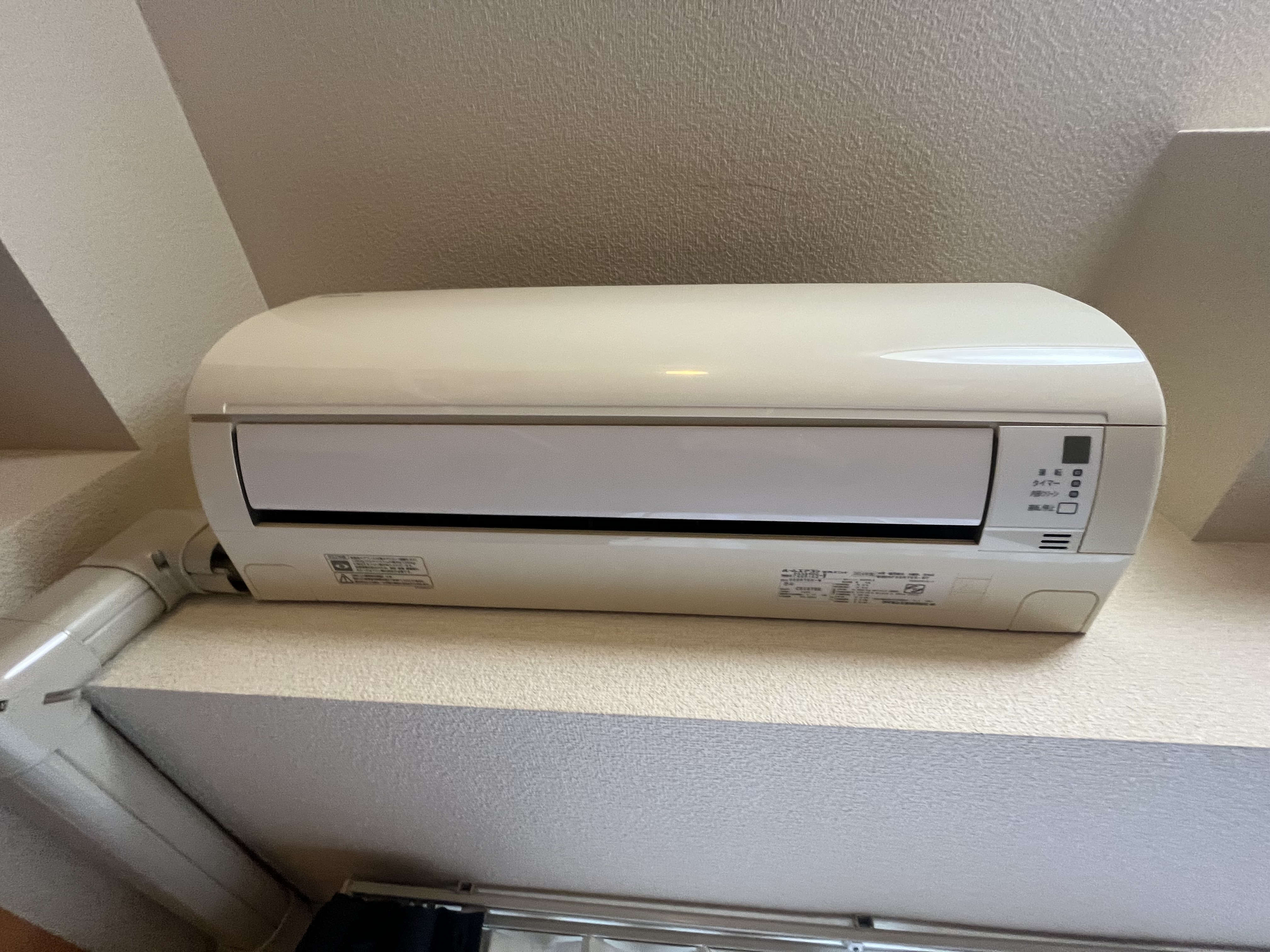 写真 2023-10-19 11 50 13