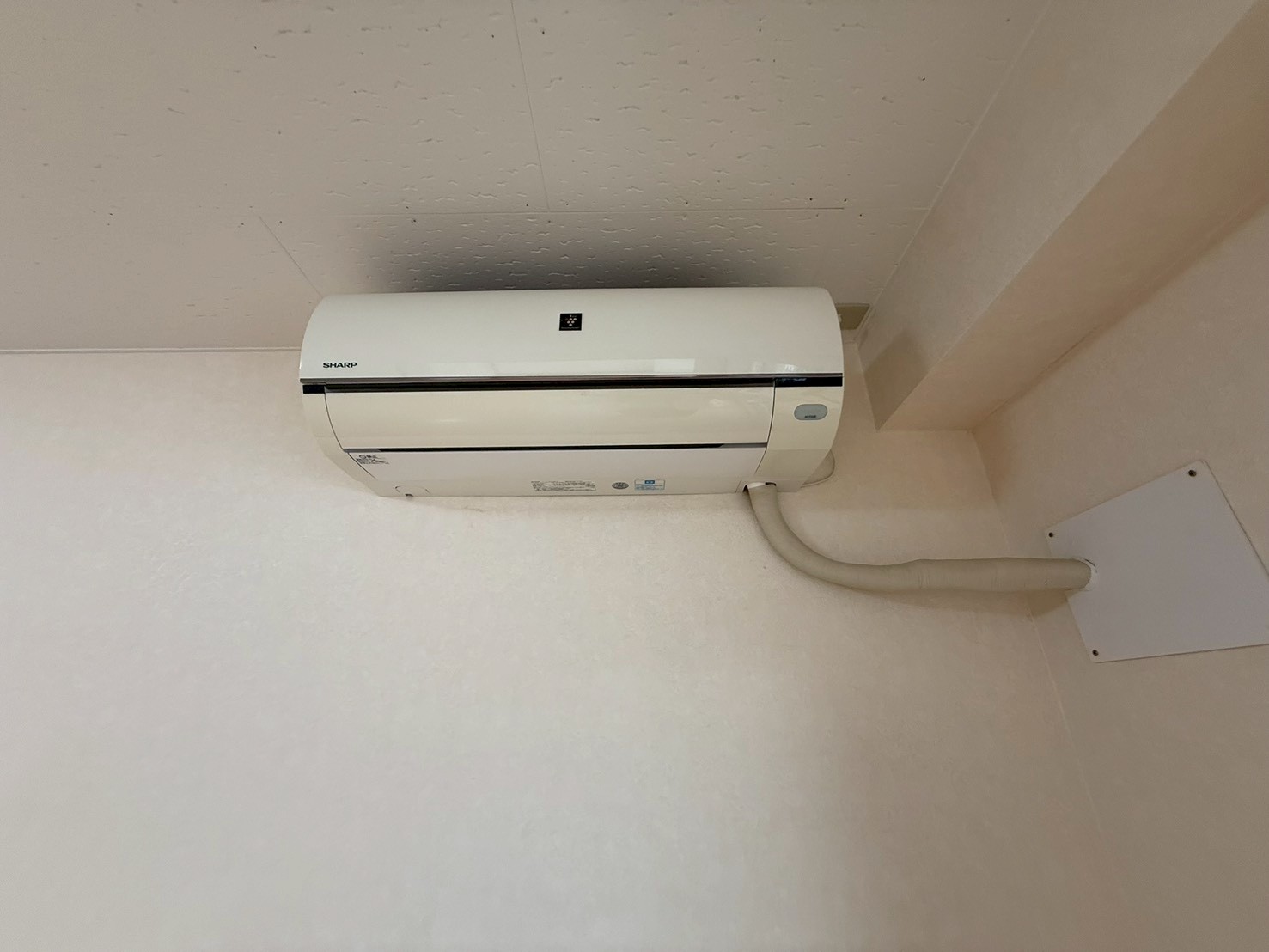 LINE_ALBUM_114池尻_260708_141