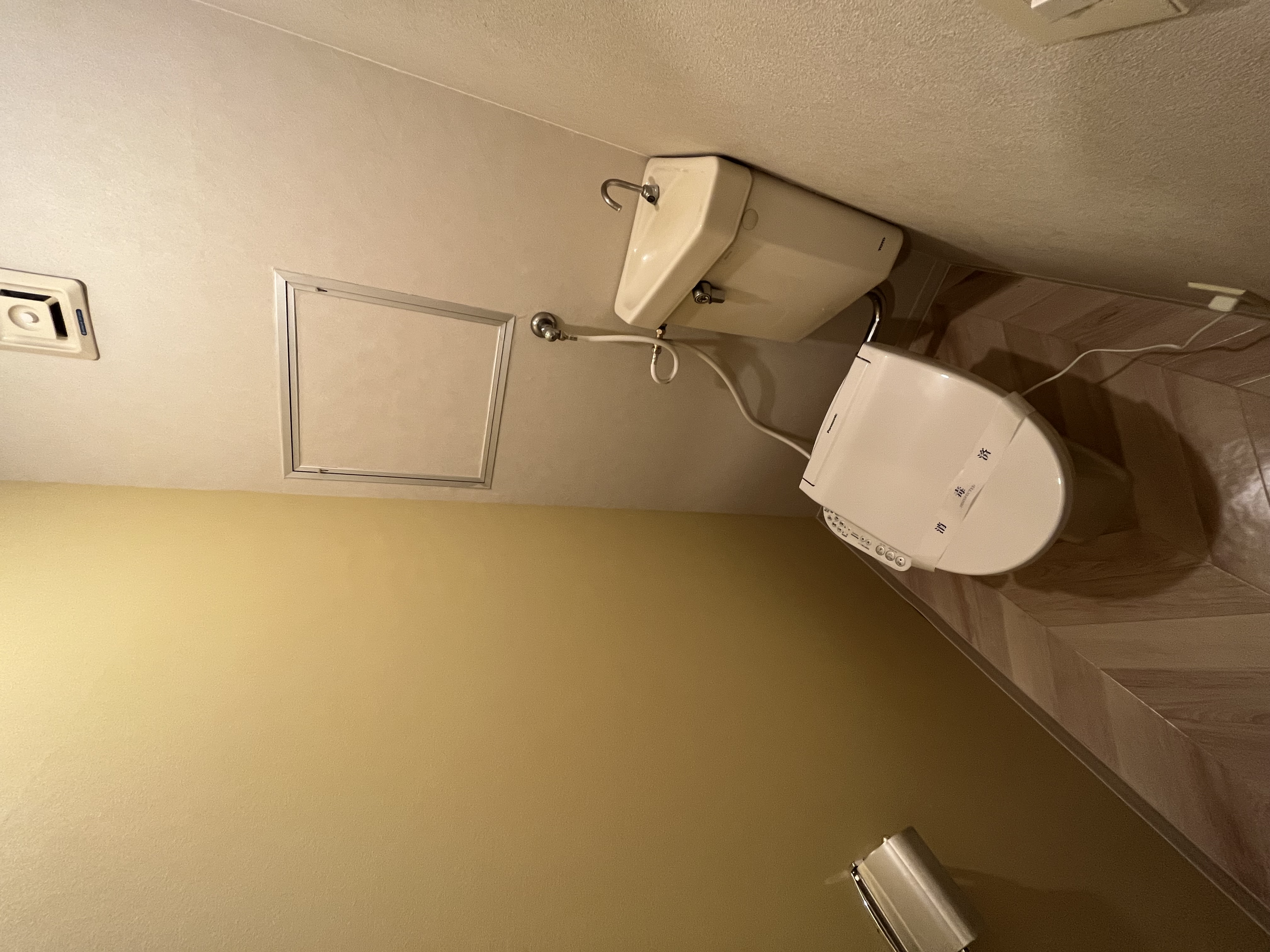 写真 2023-05-01 17 18 15