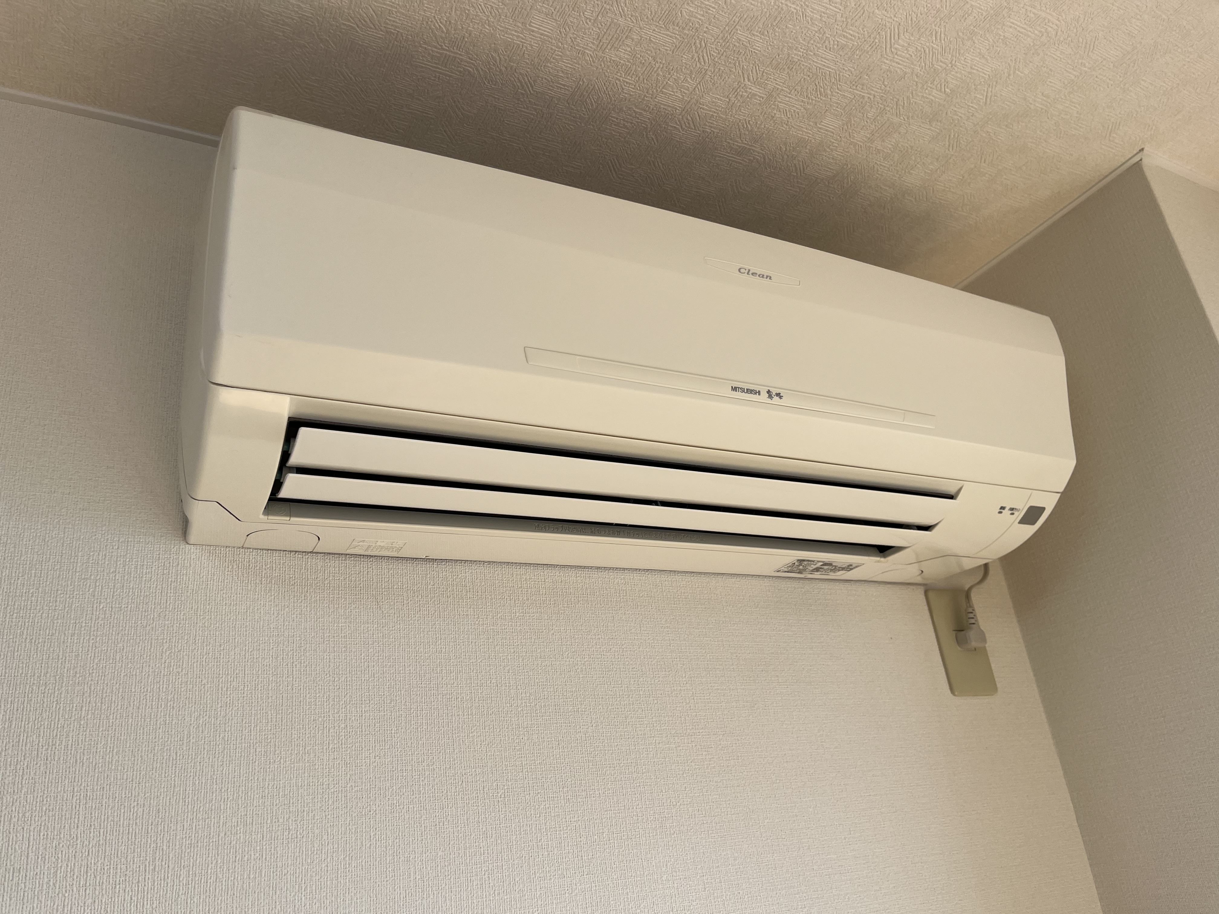 写真 2023-03-11 10 54 20